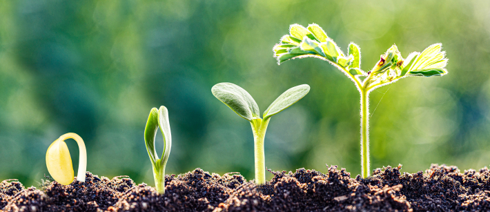 Advanced Fertilizers